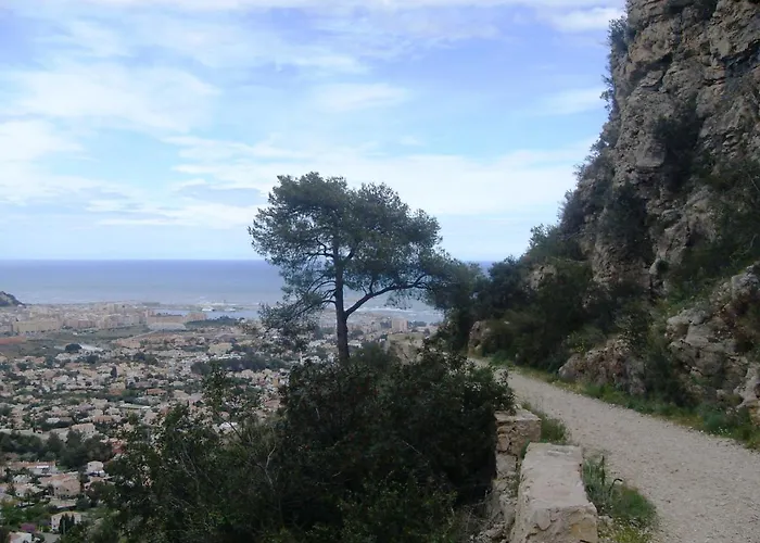 Vinas Denia
