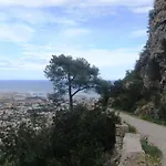 Vinas Dénia