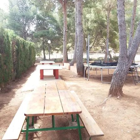 Vinas